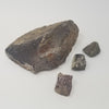 Dinosaur Bone Fragments - 80 Ma Old